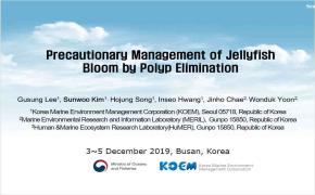 Precautionary Management of Jellyfish Bloom by Polyp Elimination