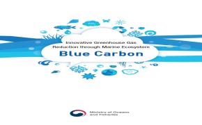 Blue Carbon Research in Republic of Korea(2017)