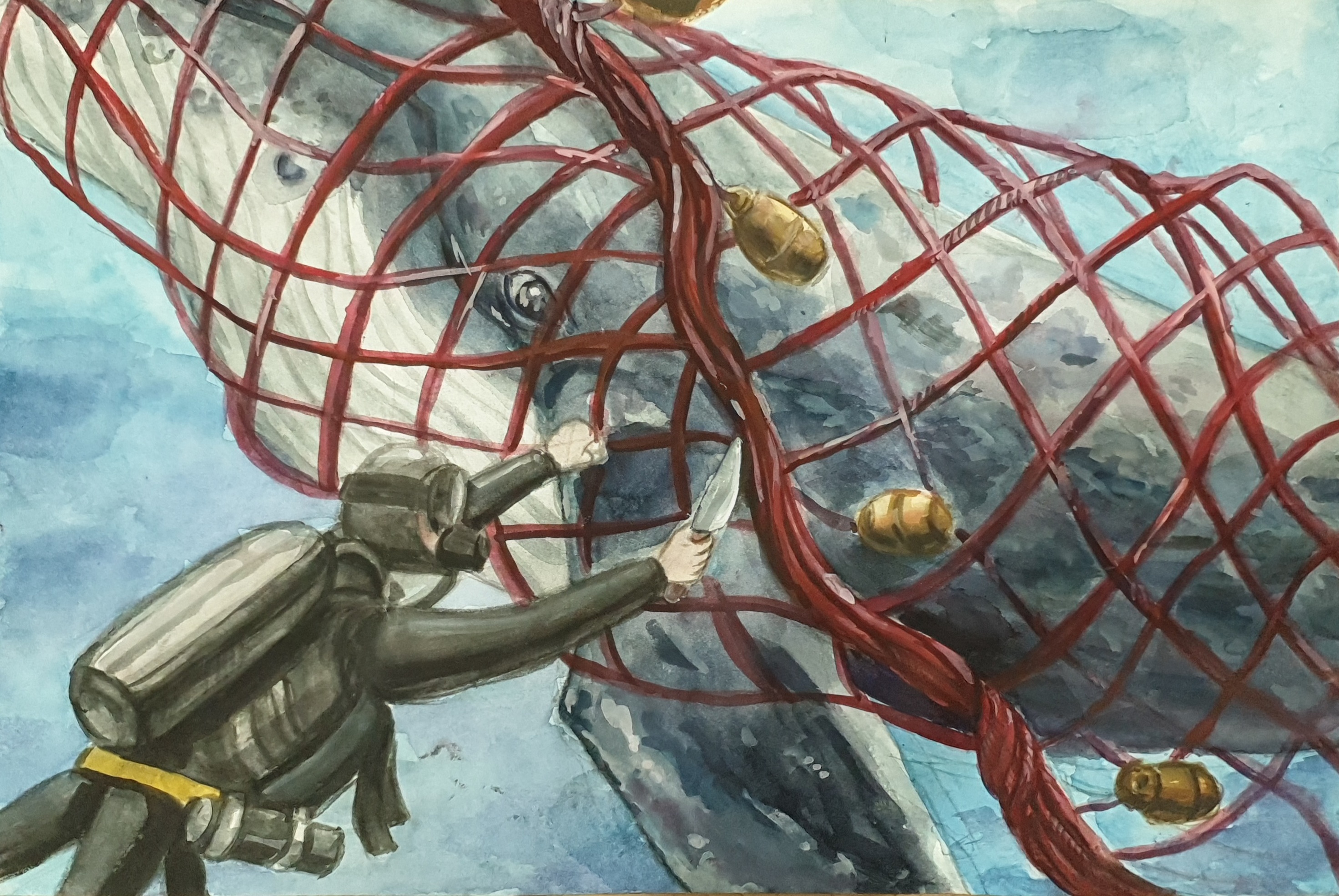 장려상-그물에 걸려 위험에 처한 혹등고래를 구해주는 잠수부