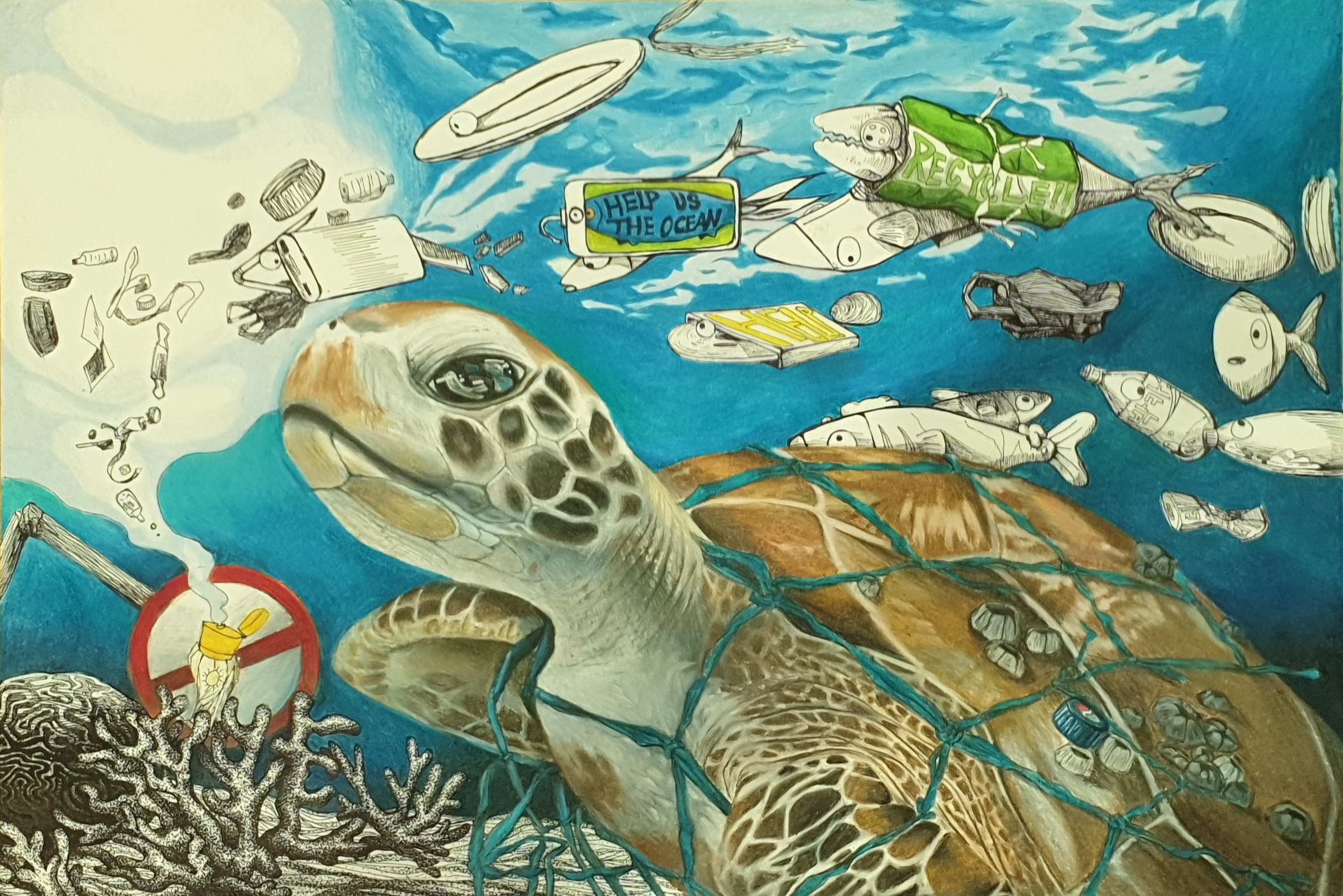 입선-버려진 쓰레기들과 친구인 붉은바다거북