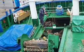 해양환경공단, 장마철 유입된 해양쓰레기 수거에 총력 - 첨부파일(쓰레기 작업 사진.jpg)