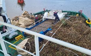 해양환경공단, 7월 집중호우기간 해양부유쓰레기 수거에 총력 대응 - 첨부파일(보도자료 사진_2.JPG)