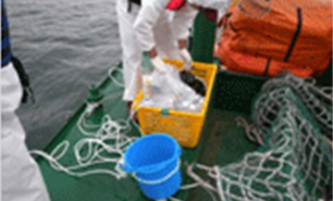 해양환경모니터링(수질)사진