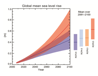 Global mean sea level rise